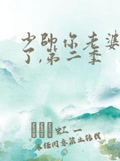 少帅你老婆又跑了,第二季