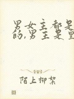 男女主都是穿越的,男主是皇上