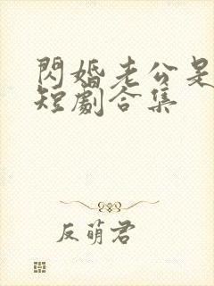 闪婚老公是豪门短剧合集