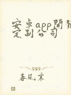 安卓app开发定制公司