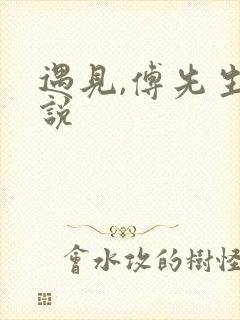 遇见,傅先生小说