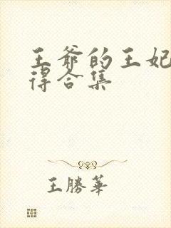 王爷的王妃惹不得合集