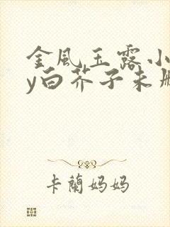 金风玉露小说by白芥子未删减
