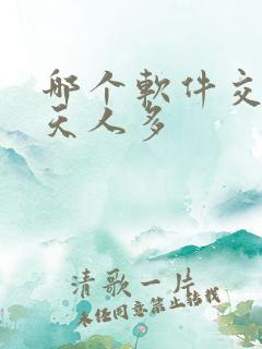 哪个软件交友聊天人多