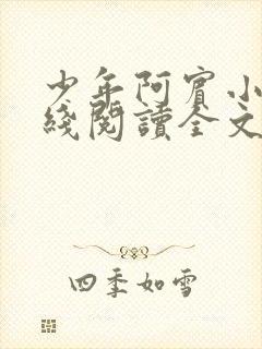 少年阿宾小说在线阅读全文