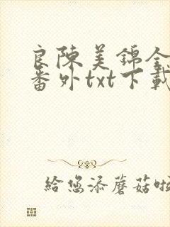 良陈美锦全文加番外txt下载