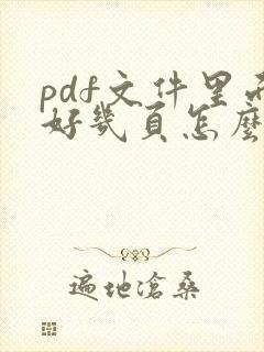 pdf文件里面好几页怎么编辑成1页?