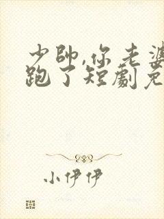 少帅,你老婆又跑了短剧免费播放