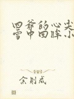 四爷的心尖宠妃雪中回眸小说版免费