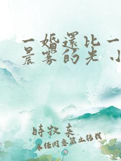 一婚还比一婚高晨雾的光 小说