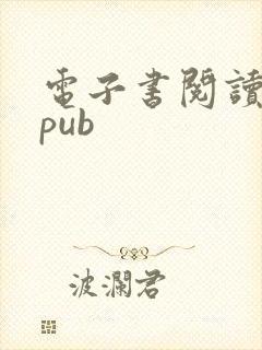 电子书阅读器epub