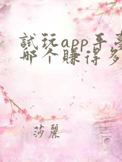 试玩app平台哪个赚得多