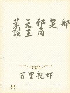 叶天邪是哪部小说主角