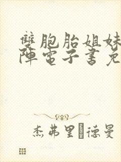 双胞胎姐妹齐上阵电子书免费阅读