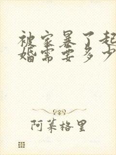 被家暴了起诉离婚需要多少费用