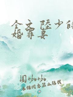 全文 陆少的隐婚罪妻