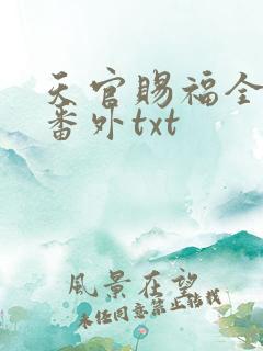天官赐福全文加番外txt