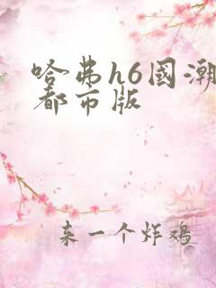 哈弗h6国潮版都市版