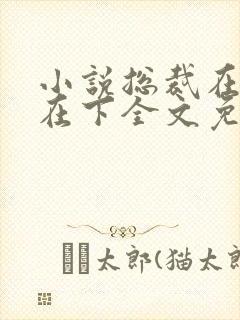 小说总裁在上我在下全文免费阅读