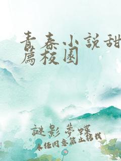 青春小说甜文推荐校园