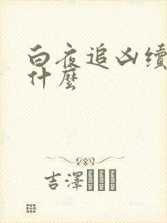 白夜追凶续集叫什么