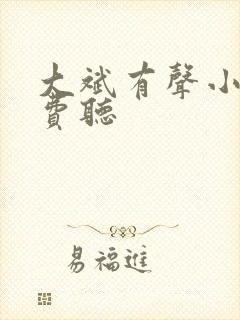 大斌有声小说免费听