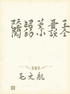 陆昭菱晋王周时阅的小说全文免费阅