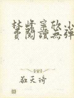 林峰宁欣小说免费阅读无弹窗