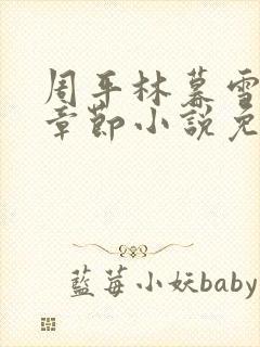 周平林暮雪最新章节小说免费阅读