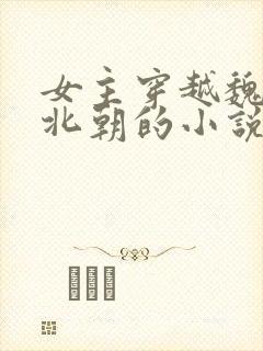 女主穿越魏晋南北朝的小说