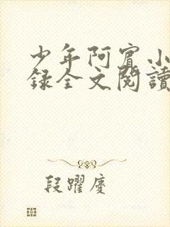 少年阿宾小说目录全文阅读无弹窗