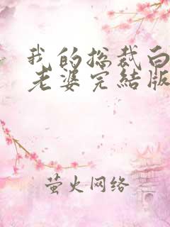 我的总裁白富美老婆完结版