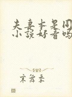 夫妻本是同林鸟小说好看吗