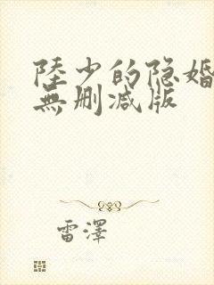陆少的隐婚罪妻无删减版