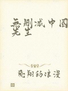 无删减中国惊奇先生