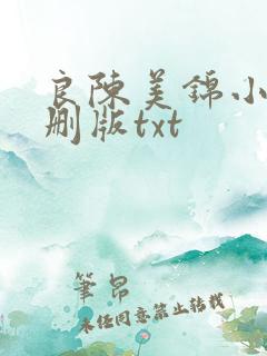 良陈美锦小说未删版txt