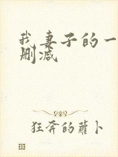 我妻子的一切未删减