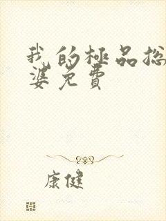 我的极品总裁老婆免费