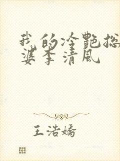 我的冷艳总裁老婆李清风