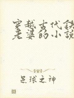 穿越古代铁匠选老婆的小说