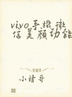 vivo手机微信美颜功能在哪里设置