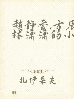 赵静香,方辰,林潇潇的小说