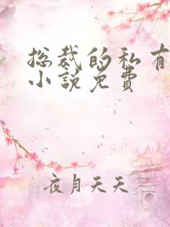 总裁的私有宝贝小说免费