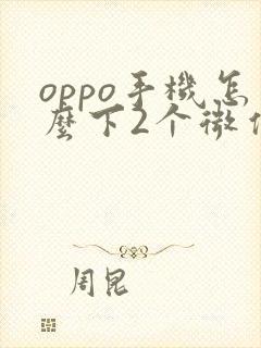 oppo手机怎么下2个微信