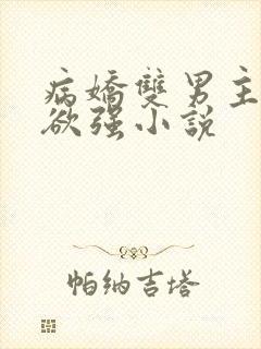 病娇双男主占有欲强小说