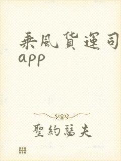 乘风货运司机端app