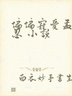 偏偏宠爱孟听江忍 小说