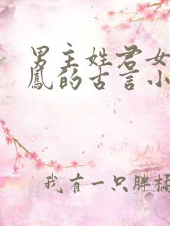 男主姓君女主姓凤的古言小说