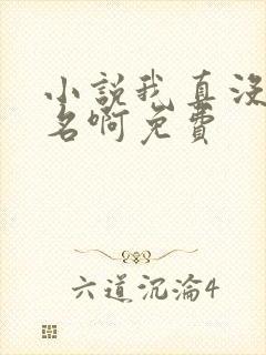 小说我真没想出名啊免费