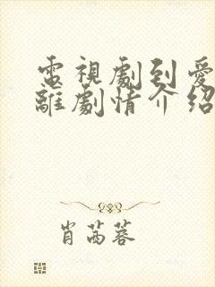 电视剧到爱的距离剧情介绍